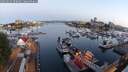 ./images/victoria/wharf/20250629/wharf20250629_050009M.jpg