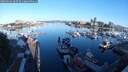 ./images/victoria/wharf/20250629/wharf20250629_065509M.jpg