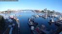./images/victoria/wharf/20250629/wharf20250629_072010M.jpg