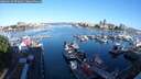 ./images/victoria/wharf/20250629/wharf20250629_074010M.jpg