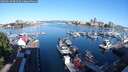 ./images/victoria/wharf/20250629/wharf20250629_081009M.jpg