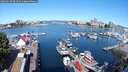 ./images/victoria/wharf/20250629/wharf20250629_094510M.jpg