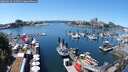./images/victoria/wharf/20250629/wharf20250629_133510M.jpg