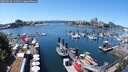 ./images/victoria/wharf/20250629/wharf20250629_134010M.jpg