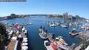 ./images/victoria/wharf/20250629/wharf20250629_134510M.jpg