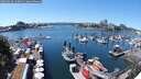 ./images/victoria/wharf/20250629/wharf20250629_140011M.jpg