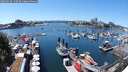 ./images/victoria/wharf/20250629/wharf20250629_140510M.jpg