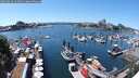 ./images/victoria/wharf/20250629/wharf20250629_141011M.jpg