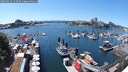 ./images/victoria/wharf/20250629/wharf20250629_143510M.jpg
