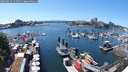 ./images/victoria/wharf/20250629/wharf20250629_144510M.jpg