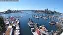./images/victoria/wharf/20250629/wharf20250629_151011M.jpg