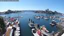 ./images/victoria/wharf/20250629/wharf20250629_153011M.jpg