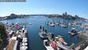 ./images/victoria/wharf/20250629/wharf20250629_153509M.jpg