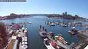 ./images/victoria/wharf/20250629/wharf20250629_161511M.jpg