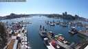 ./images/victoria/wharf/20250629/wharf20250629_170509M.jpg