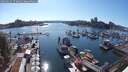./images/victoria/wharf/20250629/wharf20250629_173011M.jpg