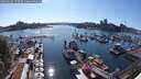 ./images/victoria/wharf/20250629/wharf20250629_173509M.jpg