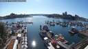 ./images/victoria/wharf/20250629/wharf20250629_175011M.jpg