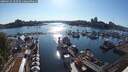 ./images/victoria/wharf/20250629/wharf20250629_183505M.jpg