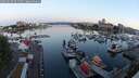 ./images/victoria/wharf/20250630/wharf20250630_051509M.jpg