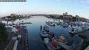 ./images/victoria/wharf/20250630/wharf20250630_052507M.jpg