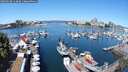 ./images/victoria/wharf/20250630/wharf20250630_113009M.jpg