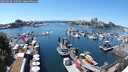 ./images/victoria/wharf/20250630/wharf20250630_140509M.jpg