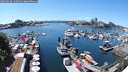 ./images/victoria/wharf/20250630/wharf20250630_142011M.jpg