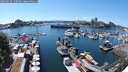 ./images/victoria/wharf/20250630/wharf20250630_150510M.jpg