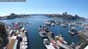 ./images/victoria/wharf/20250630/wharf20250630_154011M.jpg