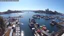 ./images/victoria/wharf/20250630/wharf20250630_172510M.jpg