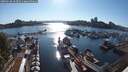 ./images/victoria/wharf/20250630/wharf20250630_183511M.jpg
