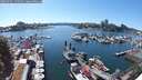 ./images/victoria/wharf/20250701/wharf20250701_155510M.jpg