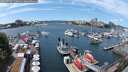 ./images/victoria/wharf/20250702/wharf20250702_133011M.jpg