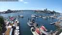 ./images/victoria/wharf/20250702/wharf20250702_150010M.jpg