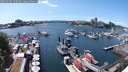 ./images/victoria/wharf/20250702/wharf20250702_150510M.jpg