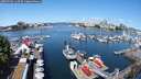 ./images/victoria/wharf/20250704/wharf20250704_110510M.jpg