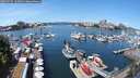 ./images/victoria/wharf/20250704/wharf20250704_122508M.jpg