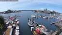 ./images/victoria/wharf/20250704/wharf20250704_133509M.jpg