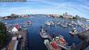 ./images/victoria/wharf/20250705/wharf20250705_093509M.jpg