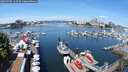 ./images/victoria/wharf/20250706/wharf20250706_112509M.jpg
