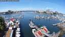 ./images/victoria/wharf/20250706/wharf20250706_113510M.jpg
