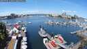 ./images/victoria/wharf/20250706/wharf20250706_114010M.jpg