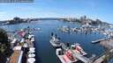 ./images/victoria/wharf/20250706/wharf20250706_133510M.jpg