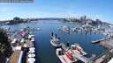 ./images/victoria/wharf/20250706/wharf20250706_135510M.jpg