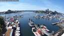./images/victoria/wharf/20250706/wharf20250706_145510M.jpg