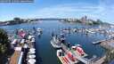 ./images/victoria/wharf/20250707/wharf20250707_125009M.jpg