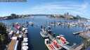 ./images/victoria/wharf/20250707/wharf20250707_125510M.jpg