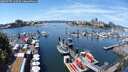 ./images/victoria/wharf/20250707/wharf20250707_130509M.jpg