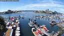 ./images/victoria/wharf/20250707/wharf20250707_132009M.jpg
